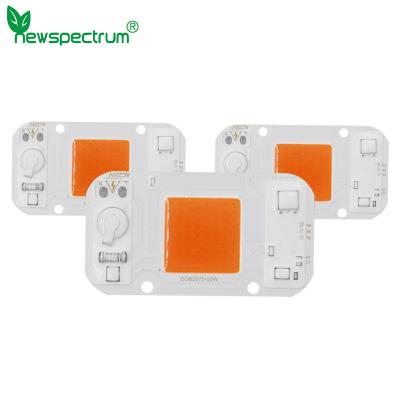 China 5000k Driverless LED COB Chip Size 25mm AC 110V LED Street Module for sale