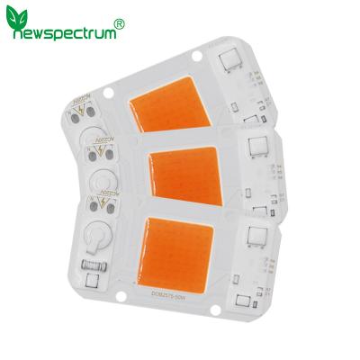 China AC 220V Dob Led Chip 50w Cool Warm White For DIY Floodlight Grow Light for sale