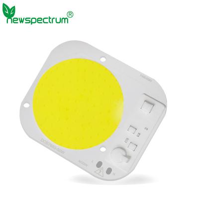 China 20W 5000LM Cob Flip Chip Led 30W 50W For Spotlights Grow Lights Led Cob Chip for sale