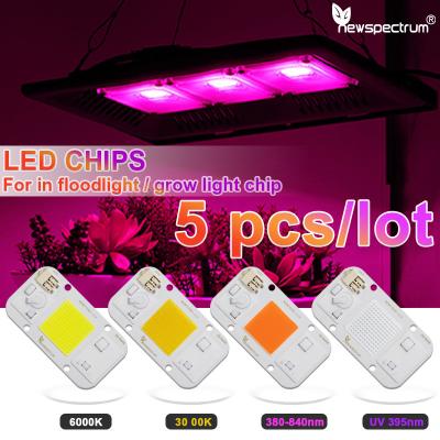 China 110V Led Cob Module NO Need Driver LED Matrix Chips Cold White for sale