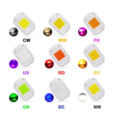 China Cool White RGB LED Module 30W 220V LED COB Chip Color Temperature 6500K for sale