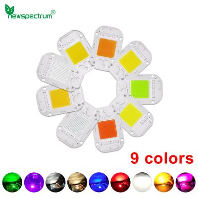 China 6500K 20W Chip LED COB Nature Cold Blue Red For Landscape Lighting for sale