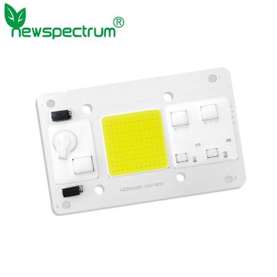 China La MAZORCA de encargo LED de la CA del poder crece el microprocesador 80W para la luz de la planta del almácigo de la flor en venta