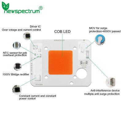 China AC110V 50W LED Chip Pink ODM LED Module COB With Driver On Board for sale