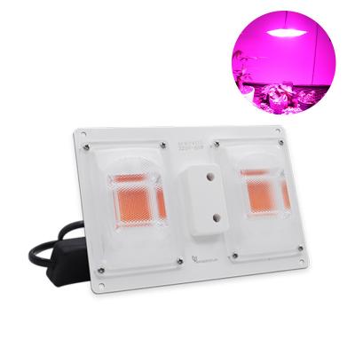 China Waterproof Led Light Bar Module for sale