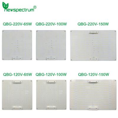 China 100W de tuinbouw SMD Geleid Chip Voltage 240v kweekt Lichte Raad Te koop