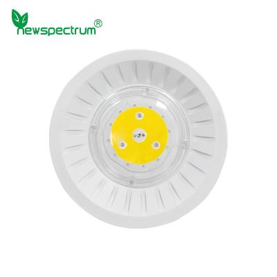 China AC110V 220V Full Spectrum Cob Led Aluminum Material For Indoor Greenhouse for sale