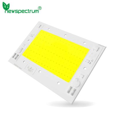 China 100w 150w Ac Cob Led Chip Linear Driver Free COB Light Source for sale