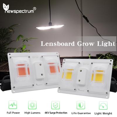 China Advanced Aluminum COB Grow Lights For Professional Cultivation for sale