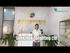 Shenzhen Colighting Ltd - AC DOB LED Module Chips Factory