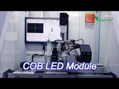 6000K Dc Cob Led Module High Luminance 20W 6000K Full Spectrum