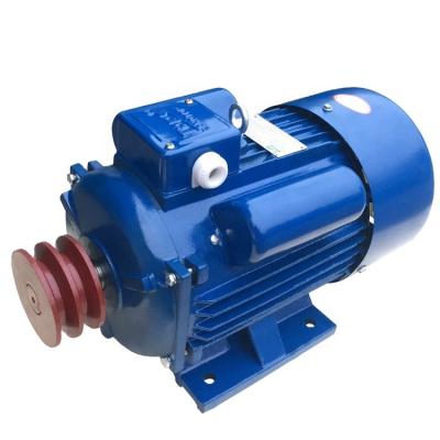 China High Quality Waterproof Landtop Electric Motor and Single Phase Induction Motor for Sale for sale