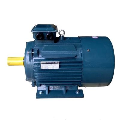 China LANDTOP Totally Enclosed Induction Motor 3 Phase 40KW 50KW 60KW 70KW 80KW Electric Motor Factory Supply for sale