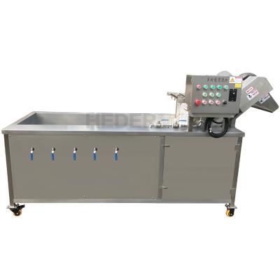 China Commercial Vegetable Snack Plant Lettuce Washing Machine With Ozone for sale