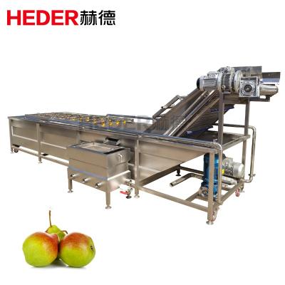 China Snack Plant Leaf Washing Machine Green Vegetable Lettuce Wash Seal Machine for sale