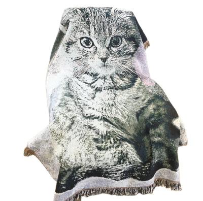 China Cat Warm Cotton Polyester Throws Portable Slipcover Anime Home Decor Covers For Sofa for sale