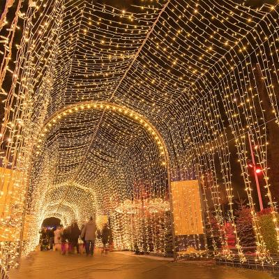 China Christmas Lights Wholesale 1.5x1.5M/2x3M/4x6M8*10M Garland Window Curtain LED Mesh Christmas Fairy String Light LED Stage Wedding Holiday Party Net Light for sale