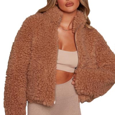 China Autumn and winter women's new Amazon plush cardigan jacket lambswool coat waterproof short women for sale