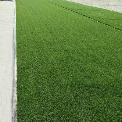 China New Invention Artificial Grass Carpet Eco-friendly Artificial Synthetic Grass Lawn Artificial Grass For Home for sale