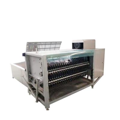 China Safe High Quality Slaughter Equipment Stainless Steel Pig Sheep Cow Unhairing Machine for sale