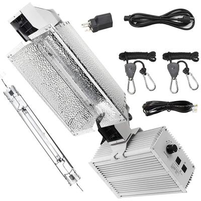 China Seed starting hydroponic hid hps 1000W double ended electronic full spectrum Hps grow hps lightweight lightdual finished ballast for sale