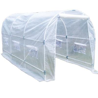 China H200xW200xL300 Easily Assembled White Easily Assembled Morden Plant Greenhouse Garden Tunnel Greenhouse Walk In Greenhouse for sale