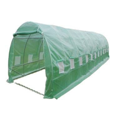 China Easily Assembled H200xW300xL2000 Tunnel Greenhouse Walk In Greenhouse Grow Tent 2021 Garden Buildings Agricultural Greenhouses Garden for sale