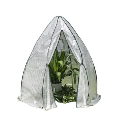 China Easily Gathered Around Green Garden Greenhouses Professional Greenhouse Greenhouse Walk In Greenhouse for sale