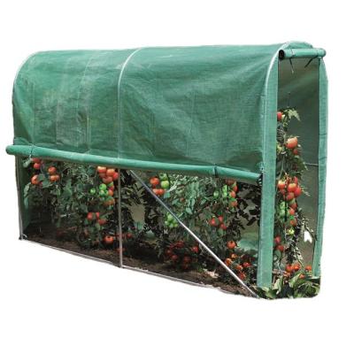 China Easily Assembled Walk In Greenhouse Garden Vegetable Thrown Single Outdoor 2022 Tomato for sale