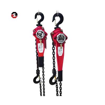 China Newest Smart Heavy Duty Chain Hoist 2ton Vital Series Ratchet Lifting Accessories Lever Block HSH-VA for sale