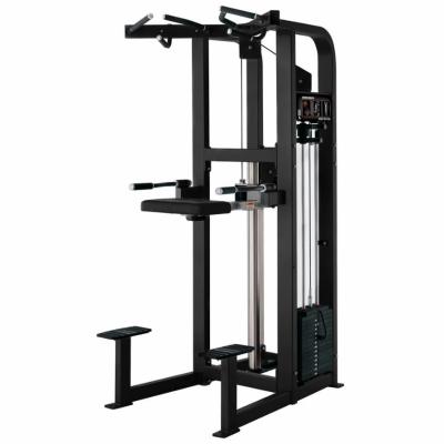 China Commercial Use Fitness Equipment Factory Weight Lifting Gym Machine Aid Immersion Chin for sale