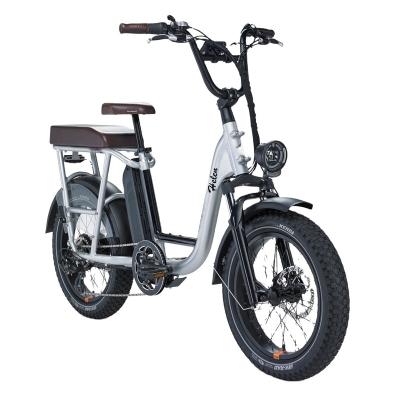 China OEM 20 Inch 48v 1000W Fat Tire Power Company Bike Rad Best Fat Tire Electric Steel Bike for sale