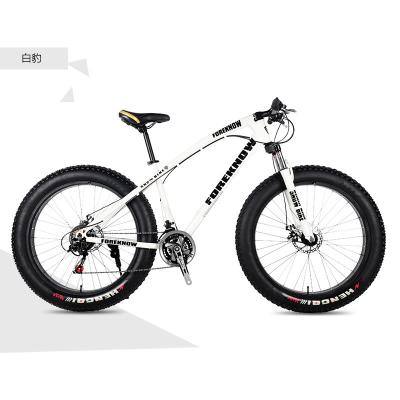 China Magnesium Alloy Variable Speed ​​Tire Mountain Bike Off-Road Beach Snowmobile Adult Super Wide Carbon for sale