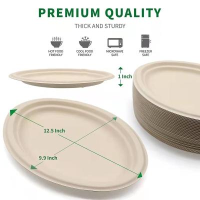 China CAPA Biodegradable Hot Sale 12.5 Inch Eco Disposable Paper Dinner Plate Microwavable Biodegradable Bagasse Pulp for sale