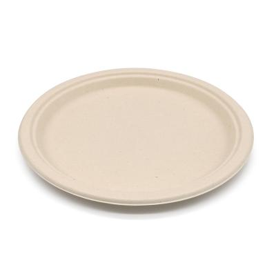 China Within 90 Days Good Reputation Biodegradable Compostable Custom Good Quality CAPA Best 10 Inch Disposable Dinner Plate Made Of Eco-friendly Paper Material for sale