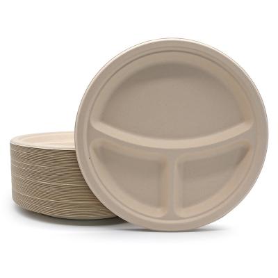 China Disposable Disposable Plates in Custom Sizes for Family Meals, Work Gatherings Biodegradable Dinner Plate for sale