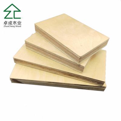 China china factory supplie 1220x2440mm 6mm 12mm 18mm EV poplar commercial veneer plywood board for decoration for sale