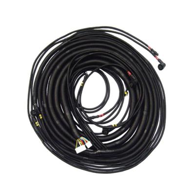 China Automobile Electromobile Wiring New Energy Automotive Wire Harness Wire Kit for sale