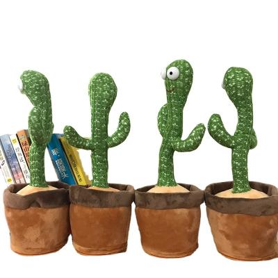 China Meijietong Viable Good Selling 100% Cotton Electric Talking Cactus Toy Dancing Cactus Toy Electric Blueland For Cats And Dogs for sale