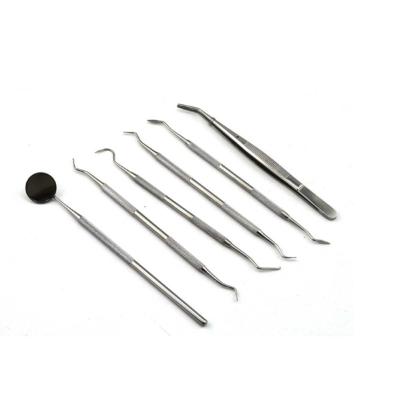 China Dentist Tools Six Piece Safe Stainless Steel Factory Customized Dental Instrument Wholesale for sale