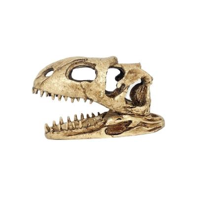 China NOMOY High Quality Resin Craft Dinosaur Skull Decoration Mini Greenhouse Landscape Reptile Reptile Skin NS-98 Viable for sale