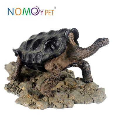 China Viable Wholesale Hot Sale Galapacos PET Artificial NOMOY Turtle Model Turtle For Decoration A8 for sale