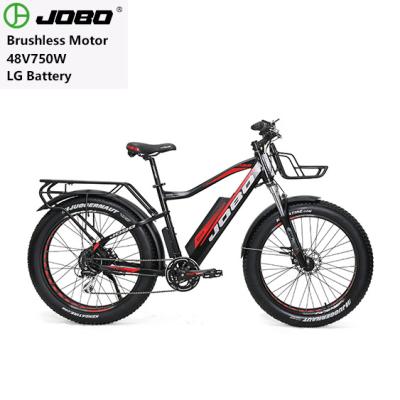 China Standard Big Battery 48V 14AH 250W Electric Motor Aluminum Alloy Eu Eu Bike Mountain Bike for sale