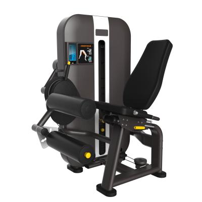 China Universal professional commercial gym equipment weight lifting free weight pln loaded seated leg crul machine for sale