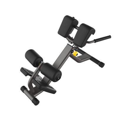 China Bodybuiling Sports Machine Professional Gym Equipment Commercial Exercise Lower Back Bench Machine for sale