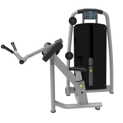 China Durable Nice Price And Commercial Goods Quality Biceps Curl Machine Fitness Gym Equipment for sale