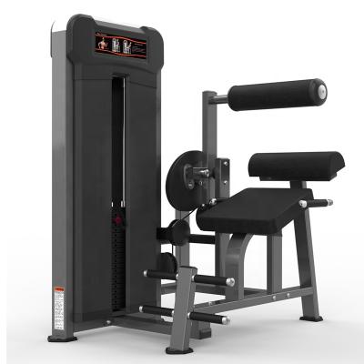 China Universal Powerful Machine Use Hammer Strength Gym Equipment Bodybuilding Home Pin Loaded Functional Fitness Machine Back Extension for sale