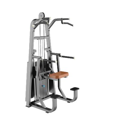 China durable commercial gym equipment chin and dip station / assisted chin dip machine for sale