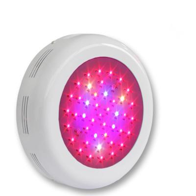 China Full Spectrum Plant Light Ip65 100 Lm / W 2700 - 6500k , Indoor LED Grow Light for sale