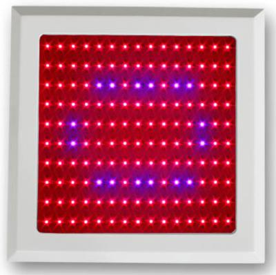 China 150w LED Plant Grow Light Red Blue spectrum for Vegetable Shed and botanic garde for sale